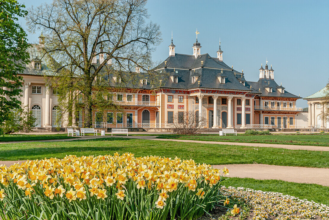 Water palace in the Pillnitz Palace Park near Dresden, Saxony, Germany
