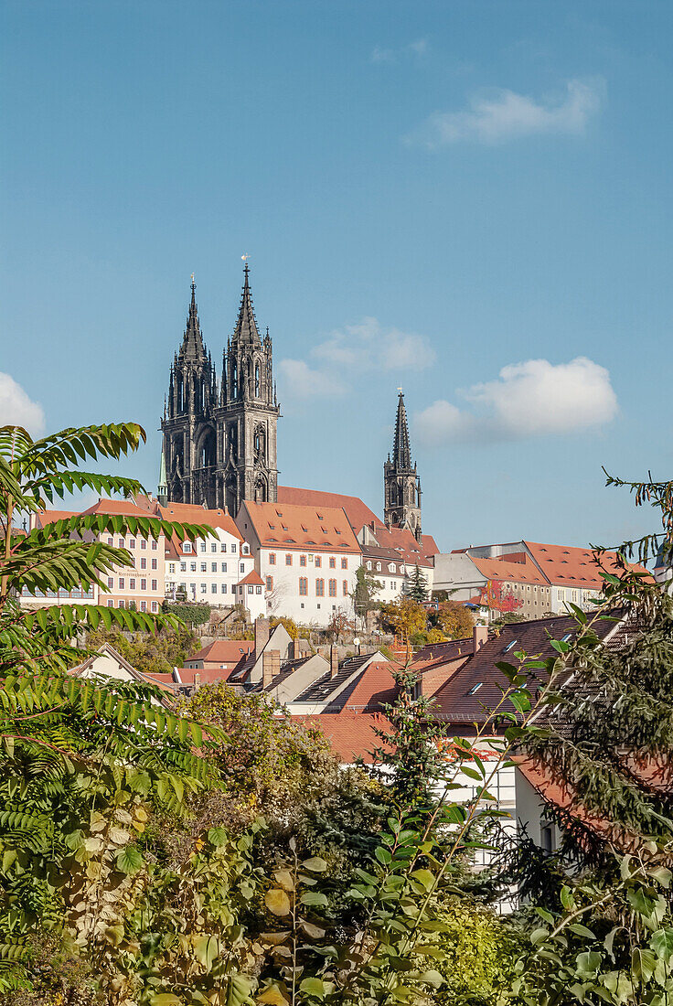 Aussicht über die historische Altstadt von Meissen mit dem Meissner Dom im Hintergrund, Sachsen, Deutschland