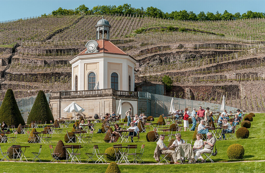 Belvedere-Gebäude des Sächsischen Staatsweingutes Schloss Wackerbarth in Radebeul, Sachsen, Deutschland