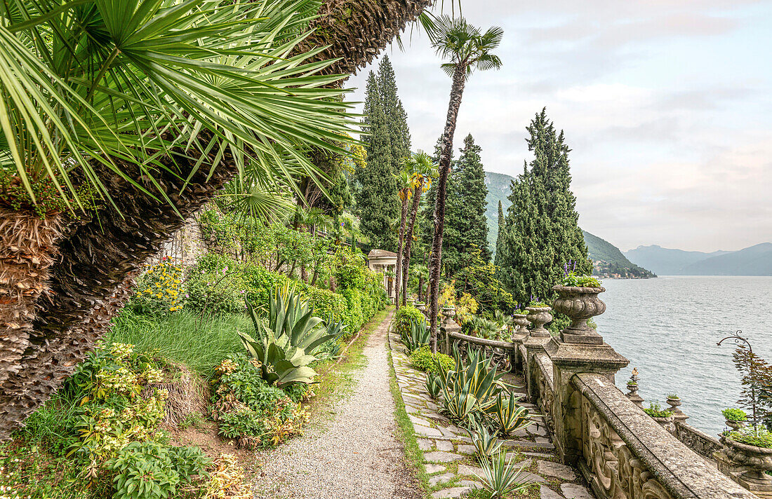 Botanischer Garten der Villa Monastero, Varenna, Lombardei, Italien