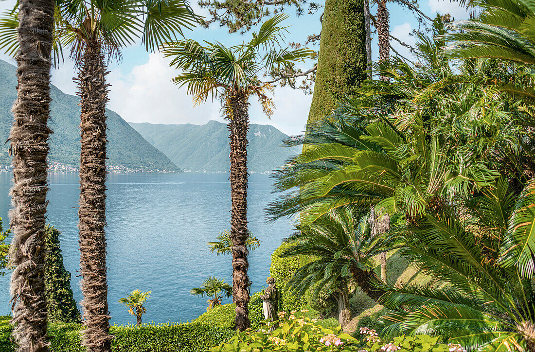 Palm garden of Villa Balbianello in Lenno on Lake Como, Lombardy, Italy