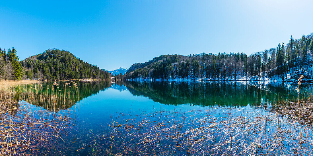 Alatsee, Ostallgäu, Allgäu, Swabia, Bavaria, Germany, Europe