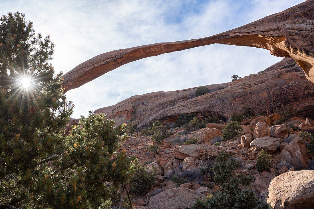 Landscape Arch with sunburst through tree, Arches National Park, Utah, United States of America, North America