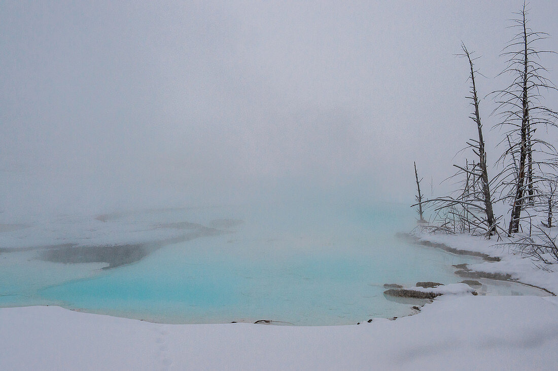 Blaues thermisches Merkmal, eingehüllt in Nebel, Yellowstone-Nationalpark, UNESCO-Weltkulturerbe, Wyoming, Vereinigte Staaten von Amerika, Nordamerika