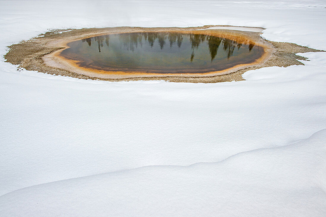 Trees reflected in thermal feature in the snow, Yellowstone National Park, UNESCO World Heritage Site, Wyoming, United States of America, North America