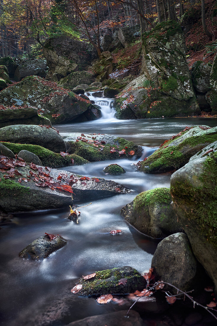 Dardagna Waterfalls in autumn, Parco Regionale del Corno alle Scale, Emilia Romagna, Italy, Europe