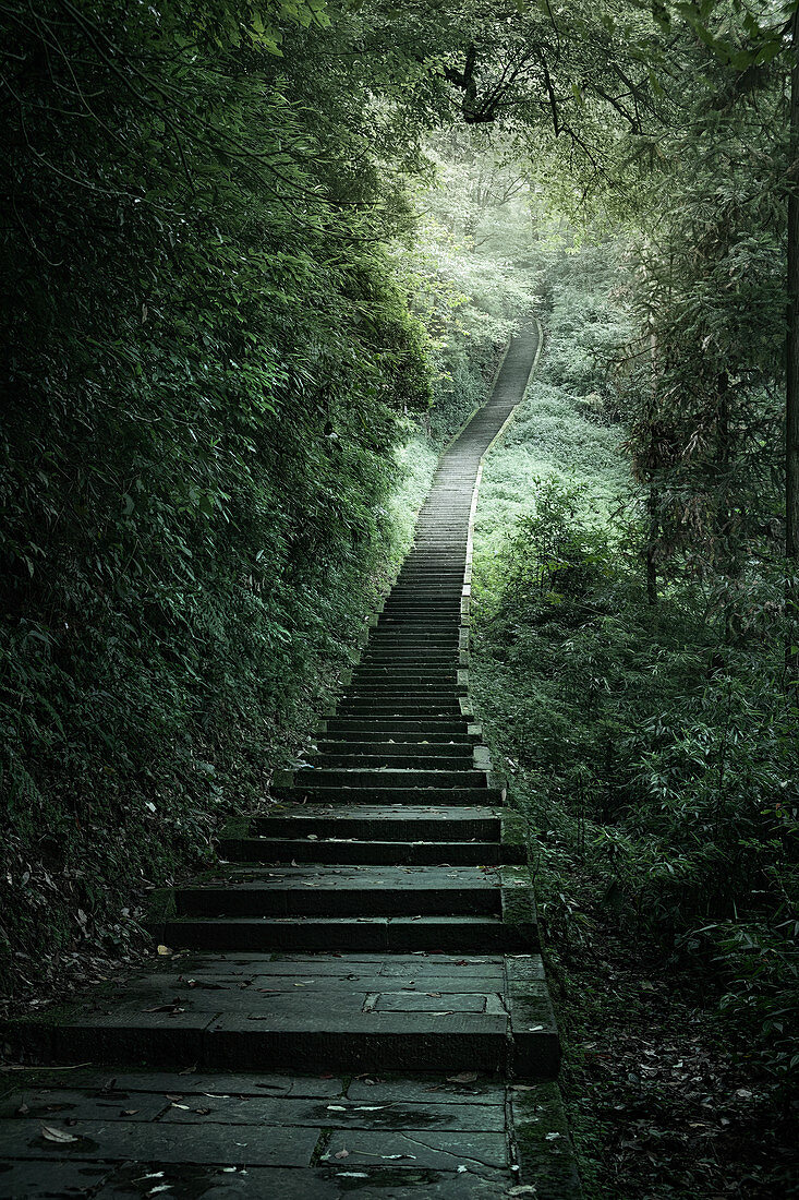 Die endlosen Treppen zum Aufstieg auf den Berg Emei, Emeishan, Sichuan, China, Asien