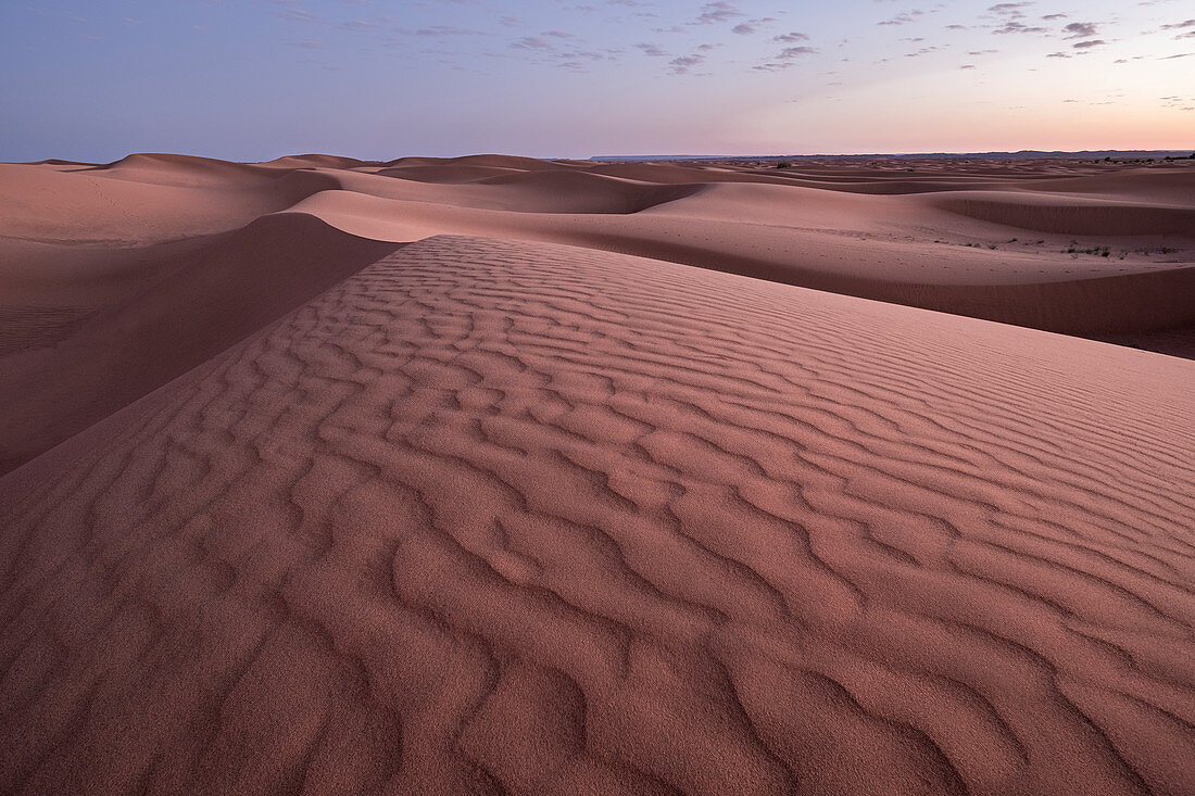 Blue hour on the Sahara Desert sand dune patterns, Erg Chebbi, Merzouga, Morocco, North Africa, Africa