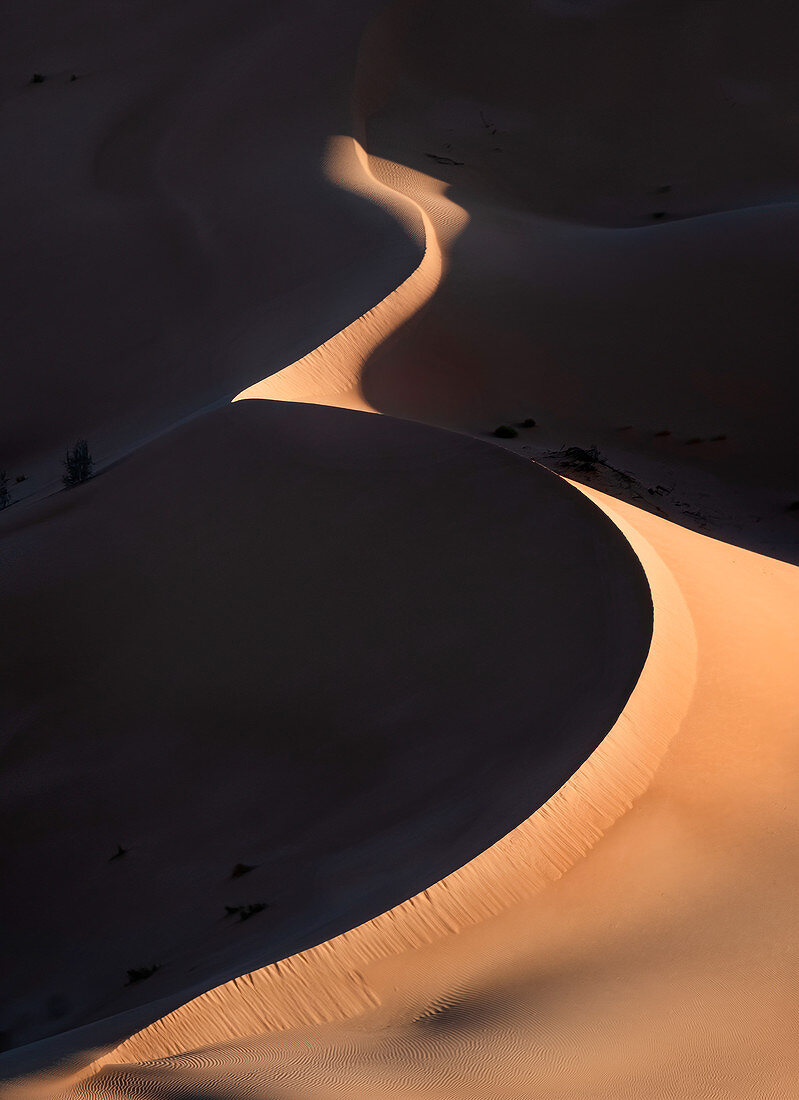 Sanddünen bei Sonnenaufgang mit hohem Kontrast in der Wüste Rub al Khali, Oman, Naher Osten