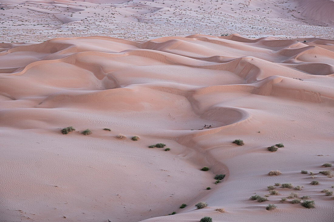 Sanddünen Detail vor dem Morgengrauen in der Rub al Khali Wüste, Oman, Naher Osten
