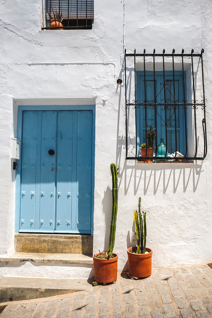 Two cactuses outside front door of Spanish house