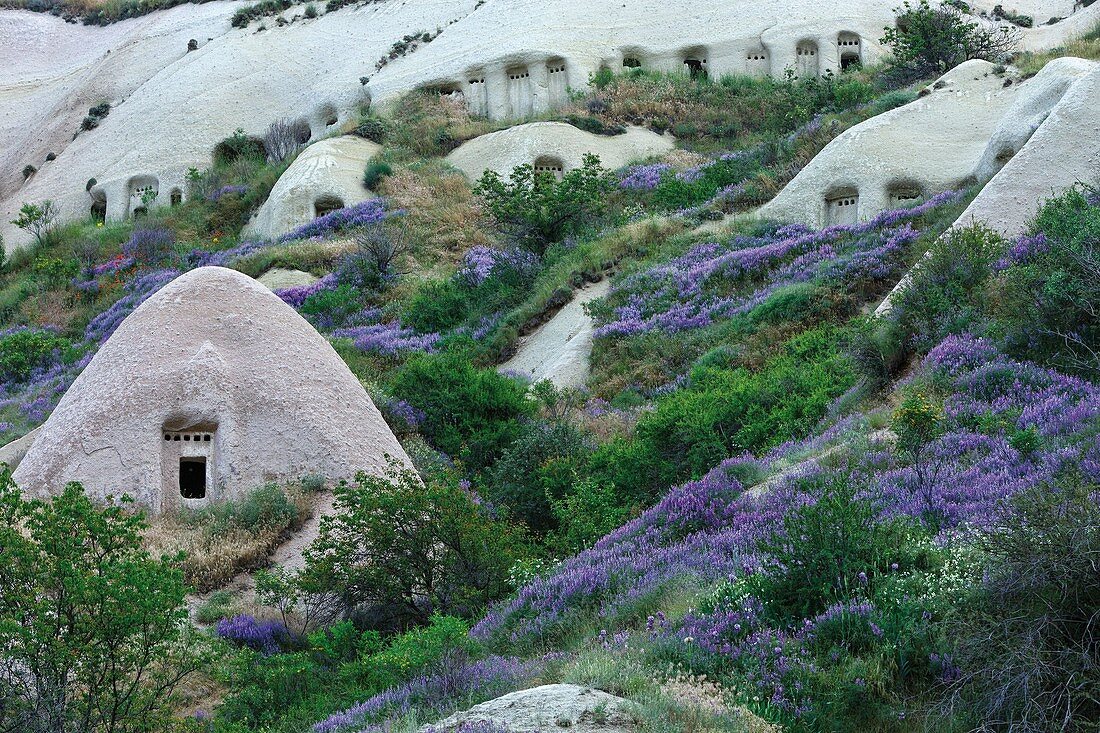 Turkey, Nevsehir, Cappadocia, listed as World Heritage by UNESCO, Goreme National Park, Urchisar 