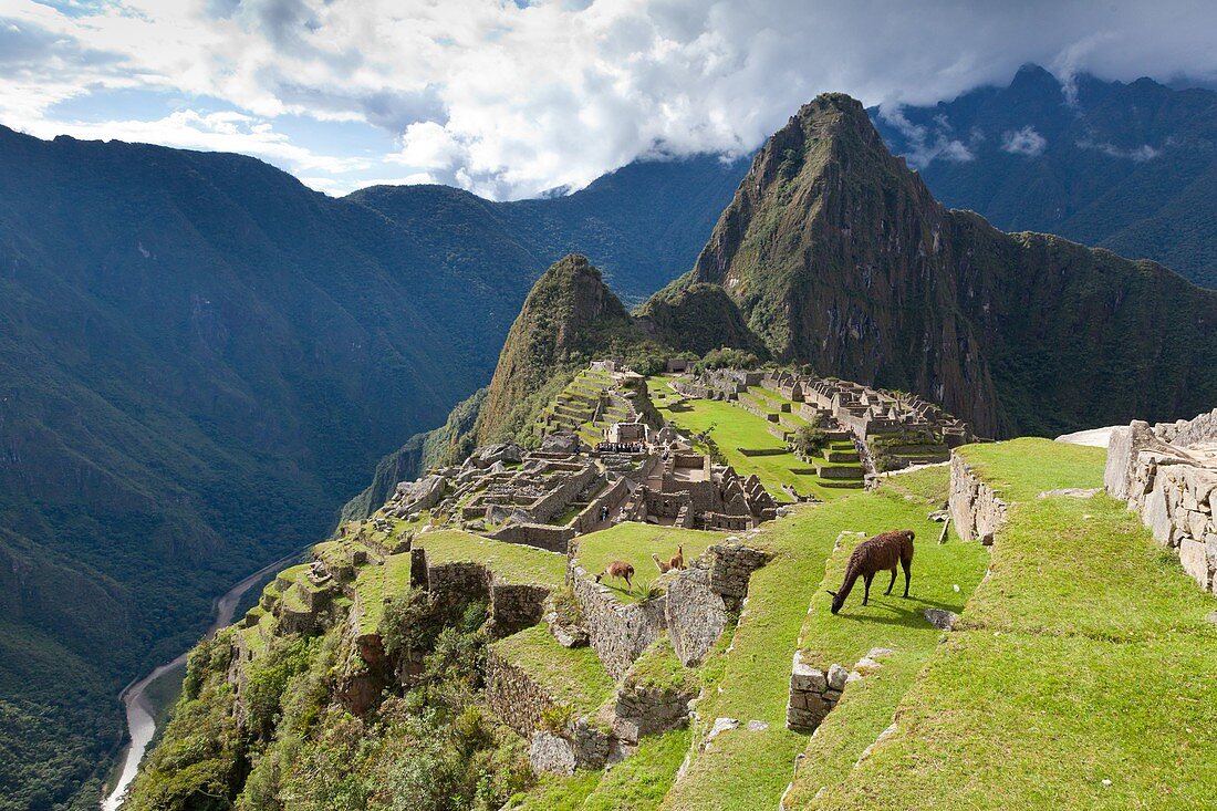 Perou, Province of Cuzco, sacred valley of the incas, Classified World Heritage of UNESCO, built under the reign of the Inca Pachacutec in the 15th century, the site was discovered by the explorer Hiram Bingham in 1911 