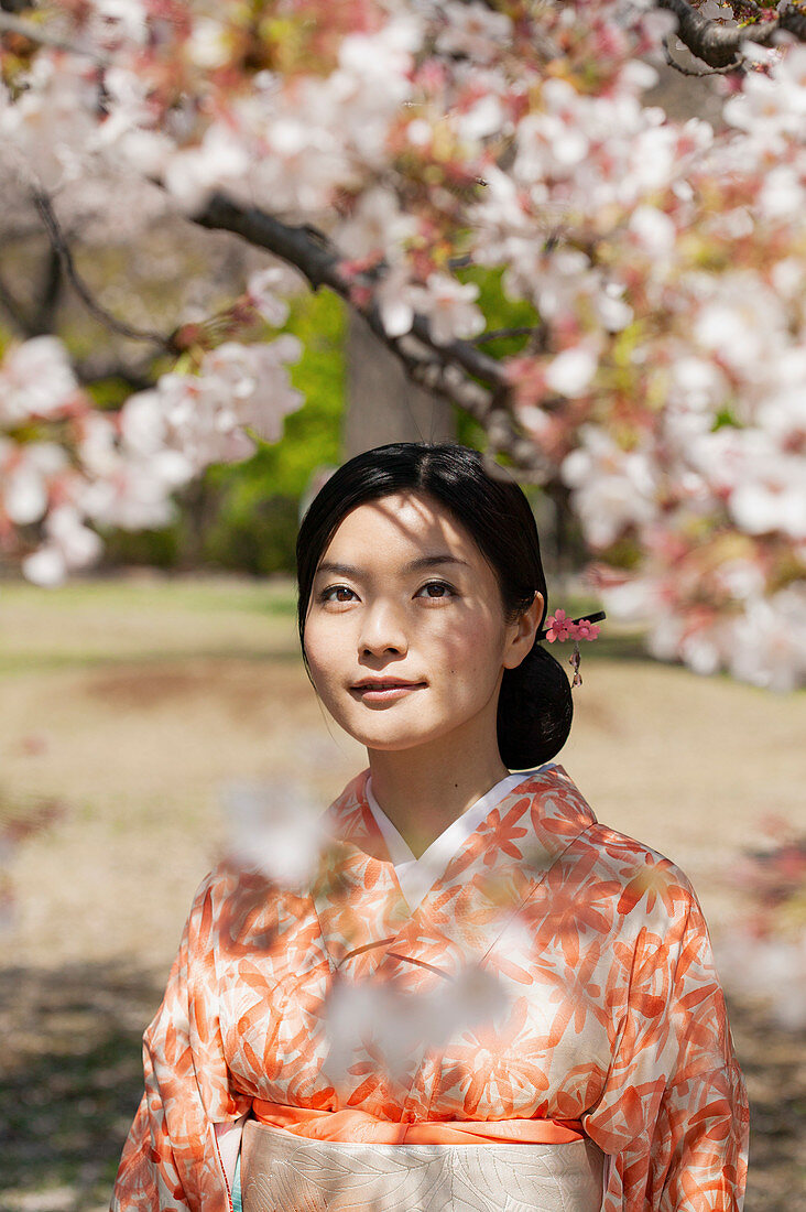 Beautiful serene young woman in kimono below cherry blossom tree