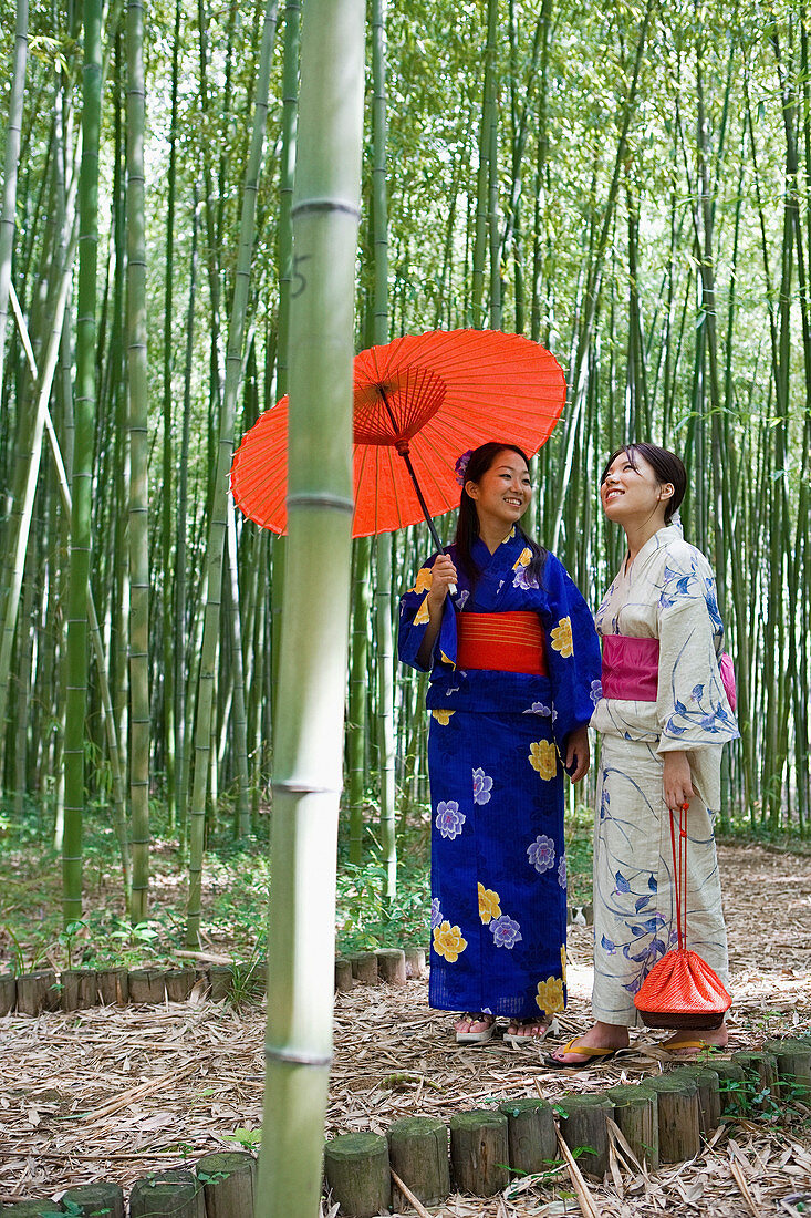 Beautiful young women in kimonos with parasol in bamboo forest