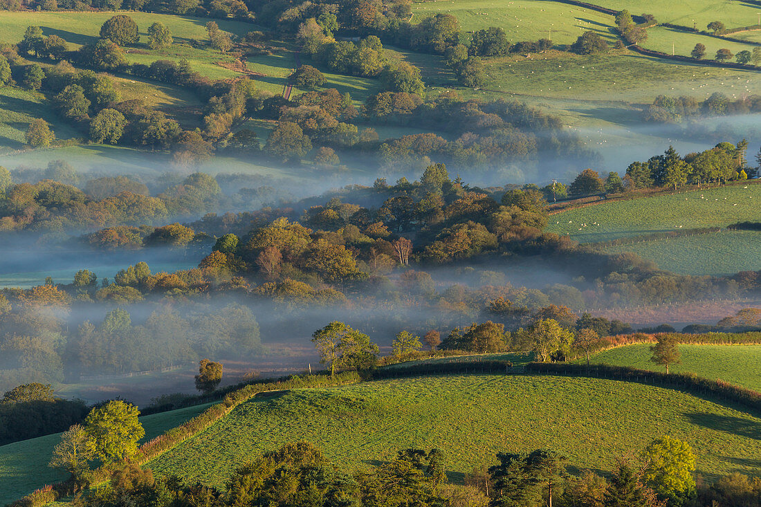 Misty Valley im Western Brecon Beacons National Park, Wales, Vereinigtes Königreich