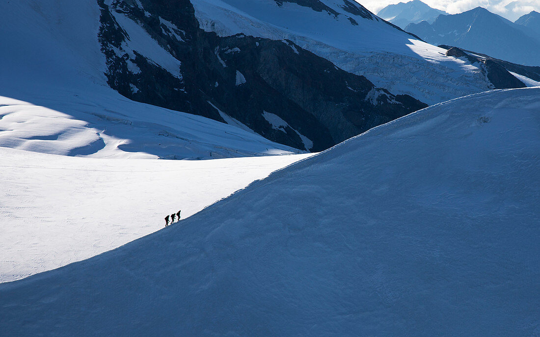 Schweiz, Monte Rosa, Kletterer am Bergrücken des Monte Rosa-Massivs