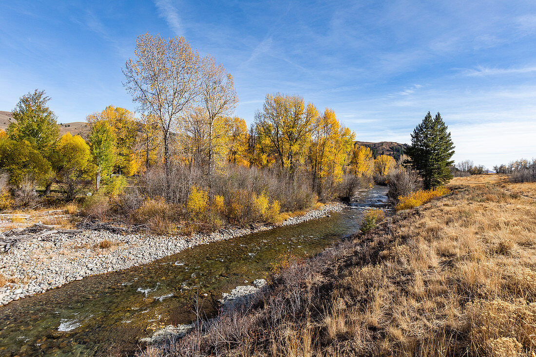 USA, Idaho, Sun Valley, Herbstlandschaft mit Fluss und gelben Bäumen