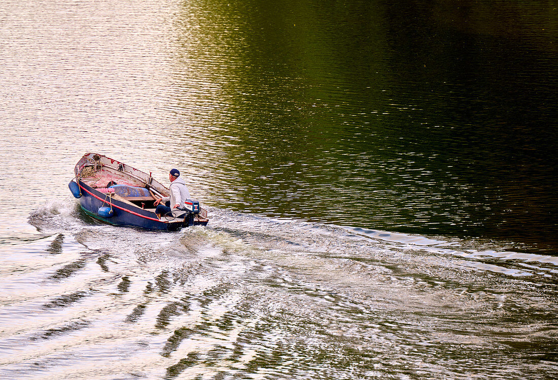 Fishermen in fishing boat on their way home on the Rhine in the evening sun, Bad Honnef, North Rhine-Westphalia, Germany