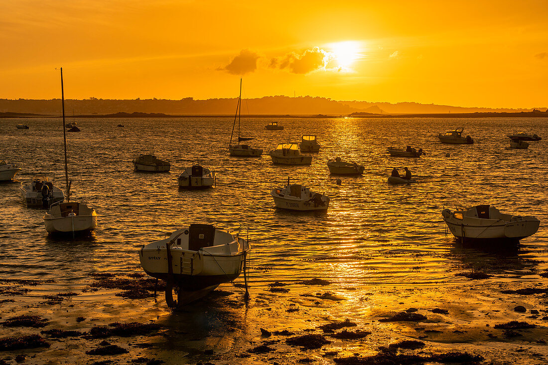 Boote in der Bretagne im goldenen Abendlicht bei Ebbe, Bretagne, Frankreich, Europa