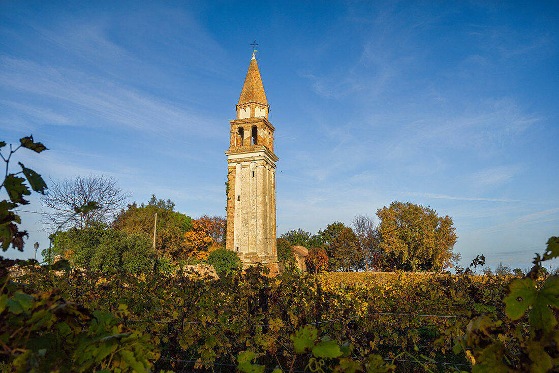 Alter Kirchturm im Weinberg auf Insel Mazzorbo, Burano, Lagune, Venetien, Italien