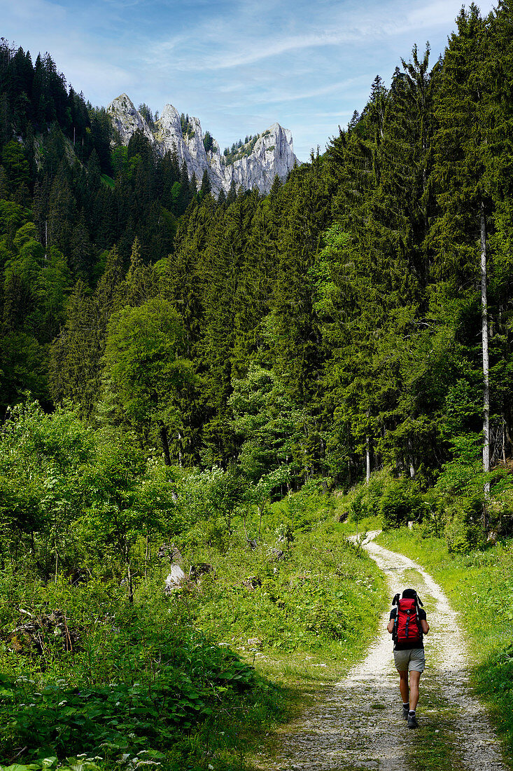 Auf dem Weg zum Hasentalkopf in den Ammergauer Alpen, Bayern, Deutschland, Europa