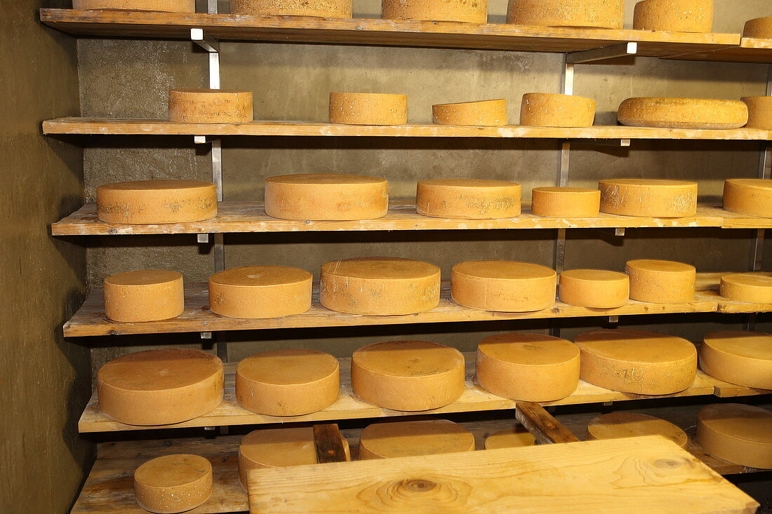 Dairy on the Stiealm, Brauneck, Lenggries, Isarwinkel, Upper Bavaria, Bavaria, Germany