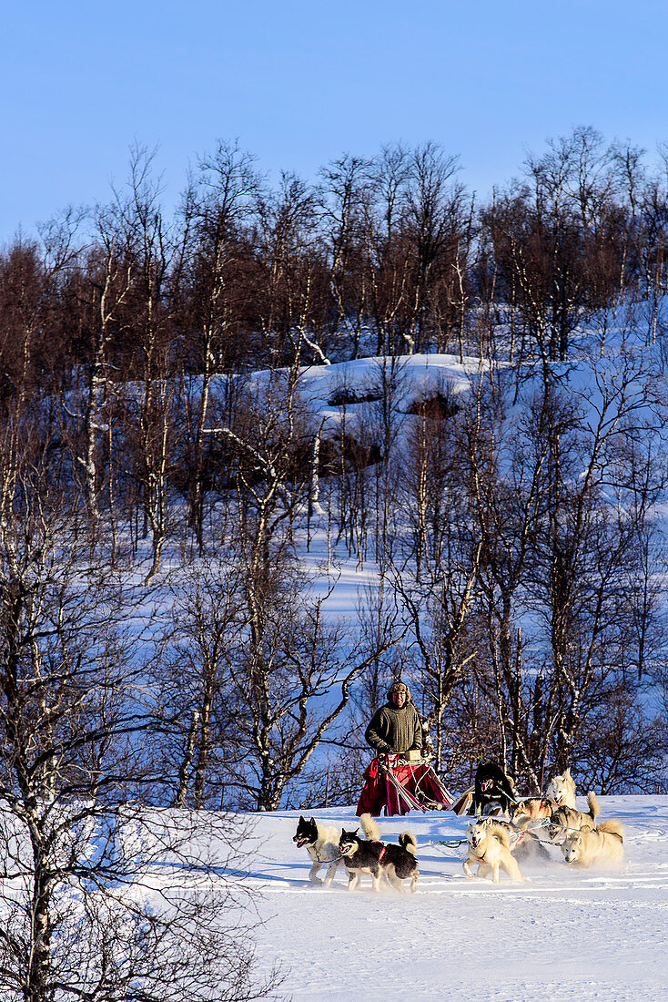 Dog sledding tour near Indset, Björn Klauer's husky farm, Bardufoss, Norway