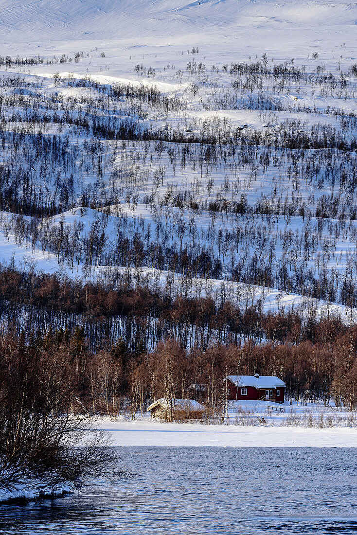 Landscape at Björn Klauer's husky farm, Bardufoss, Norway
