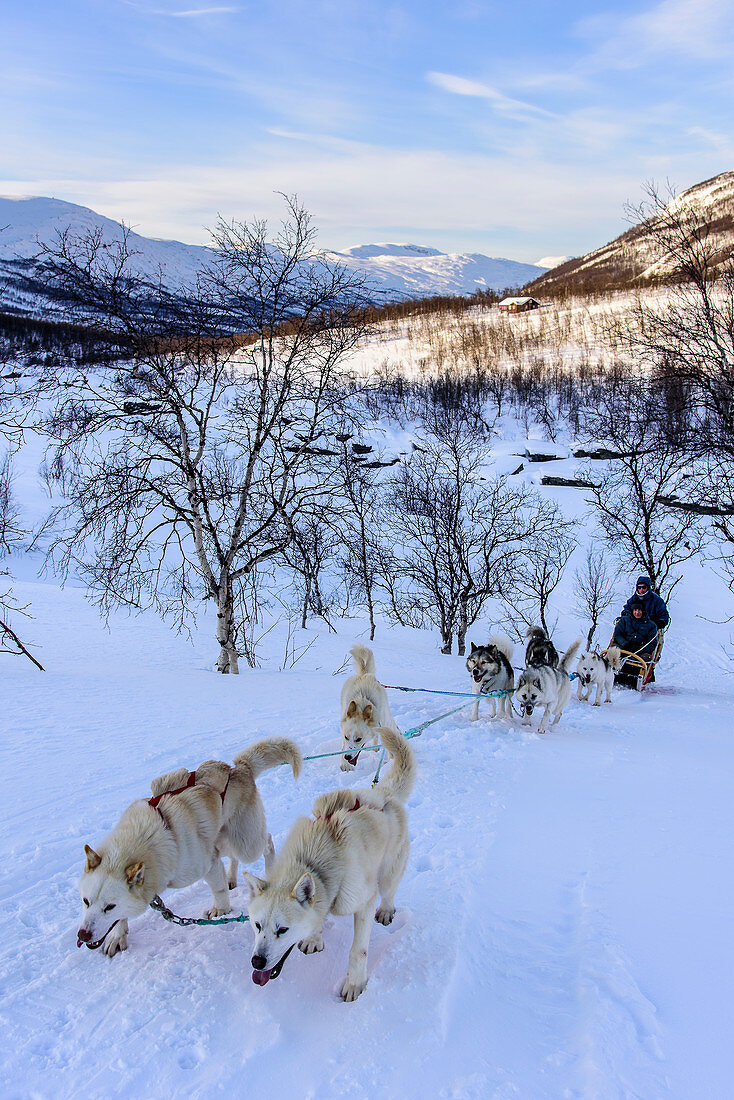 Hundeschlittentour bei Indset, Huskyfarm von Björn Klauer, Bardufoss, Norwegen