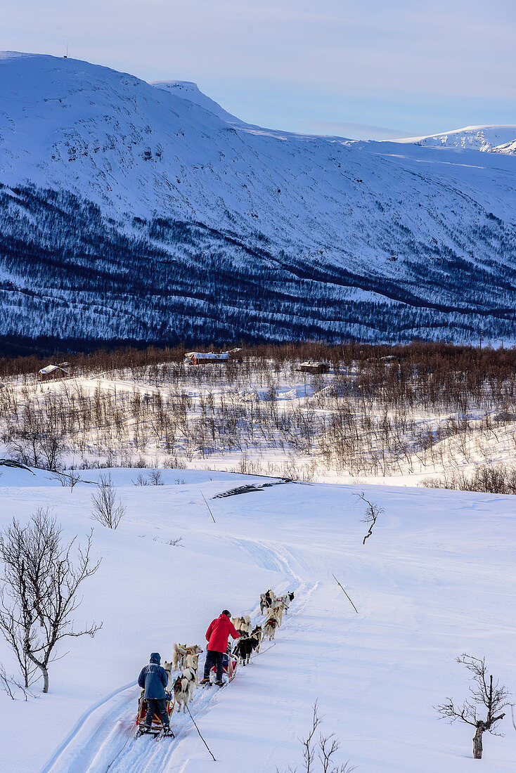 Dog sledding tour near Indset, Björn Klauer's husky farm, Bardufoss, Norway