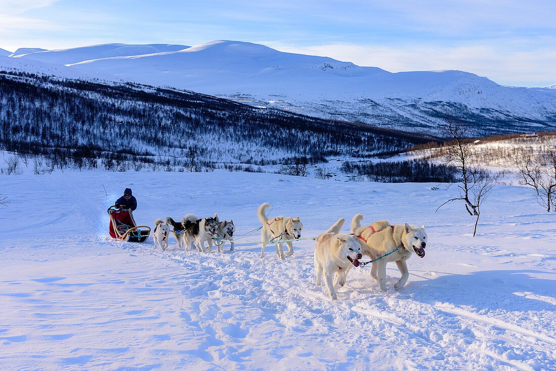 Dog sledding tour near Indset, Björn Klauer's husky farm, Bardufoss, Norway