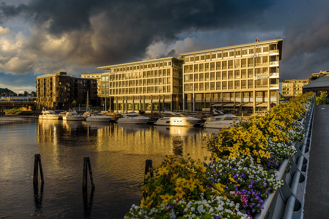 Footbridge, Rosenborgbassenget district with new houses and marina, Trondheim, Norway