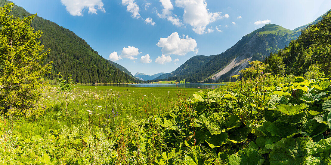 Vilsalpsee im Naturschutzgebiet Vilsalpsee, Tannheimer Tal, Allgäu, Tirol, Österreich, Europa