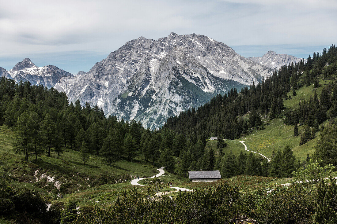 Blick auf das Watzmannmassiv vom Schneibsteinhaus, Berchtesgadener Alpen, Bayern, Deutschland