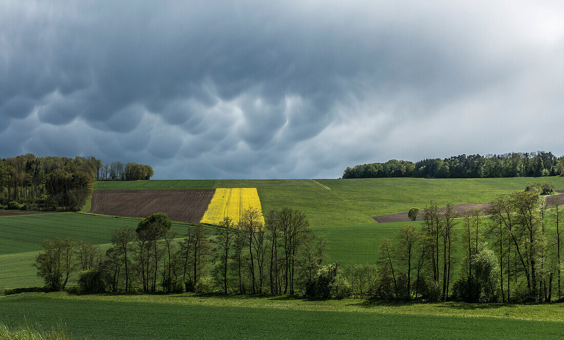 Mammatuswolken nach einem Regenschauer, Monheim, Bayern, Deutschland 