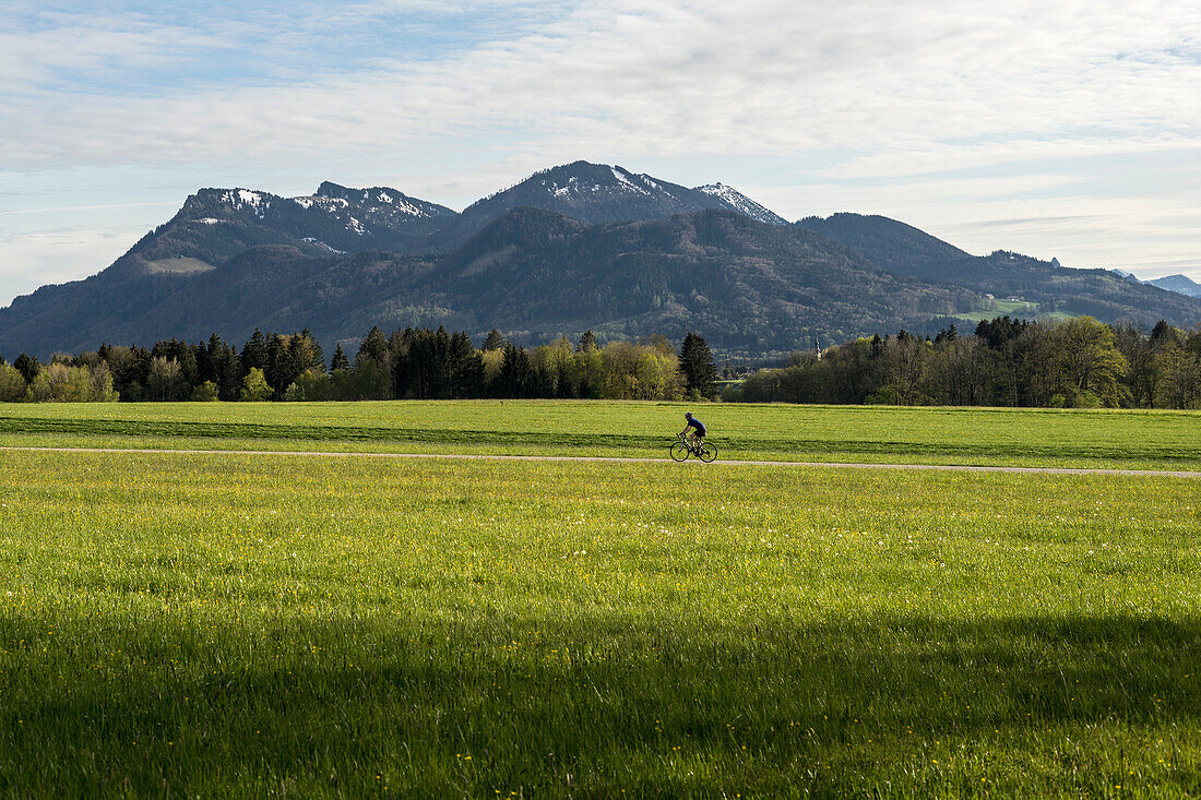 Racing cyclists in front of the Hochries, Prien, Bavaria, Germany