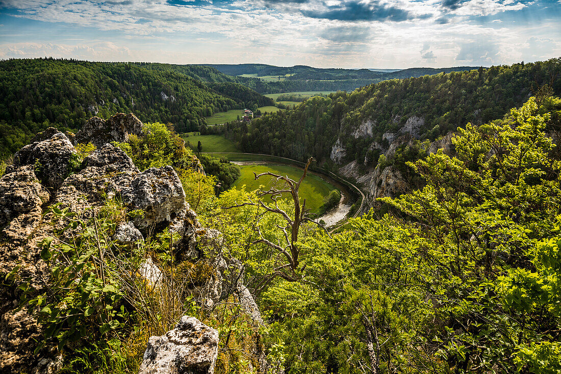 Ausblick vom Stiegelesfelsen, bei Fridingen, Naturpark Obere Donau, Oberes Donautal, Donau, Schwäbische Alb, Baden-Württemberg, Deutschland