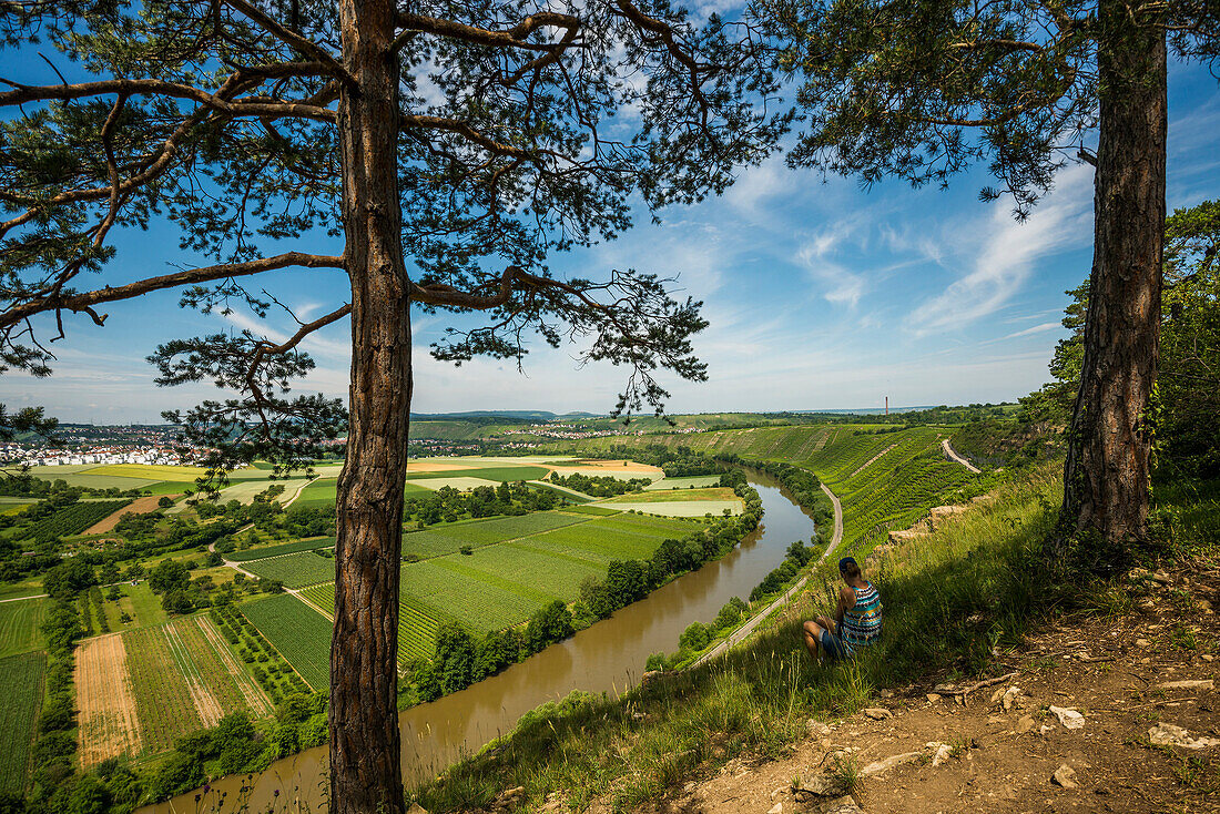 Hessigheim rock gardens, Hessigheim, Neckar, Neckar Valley, Baden-Württemberg, Germany