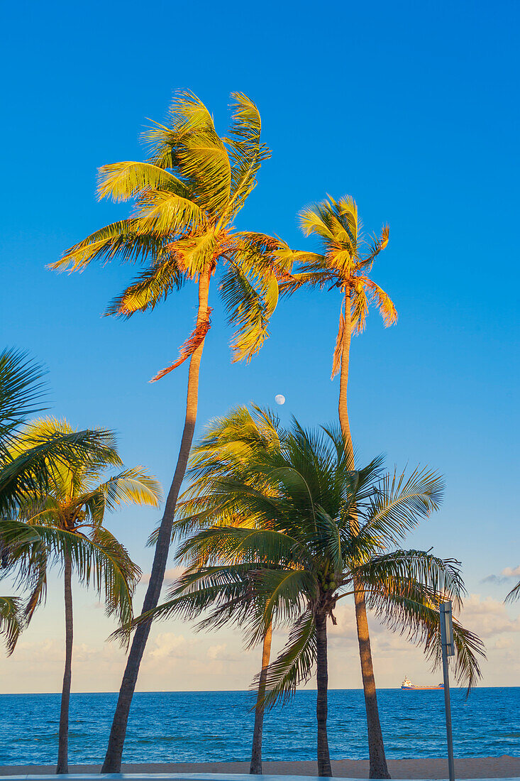 Strand von Fort Lauderdale, Fort Lauderdale, Broward County, Florida, USA