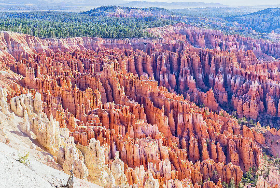 Bryce Canyon, Bryce Canyon Nationalpark, Utah, USA