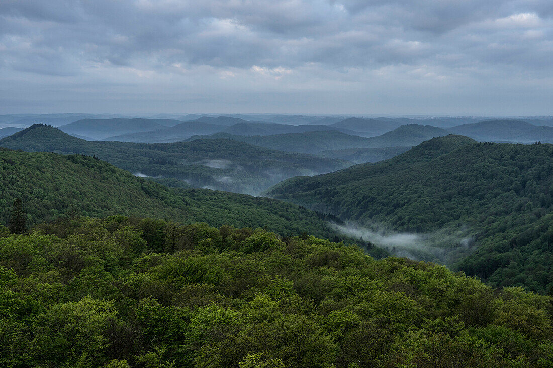 Morning view over the Palatinate Forest from the Luitpold Tower, Hermersbergerhof, Rhineland-Palatinate, Germany