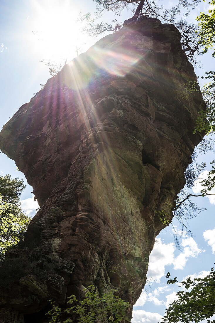 Sandstone tower on Wolfsfels in the Palatinate Forest, Hauenstein, Rhineland-Palatinate, Germany