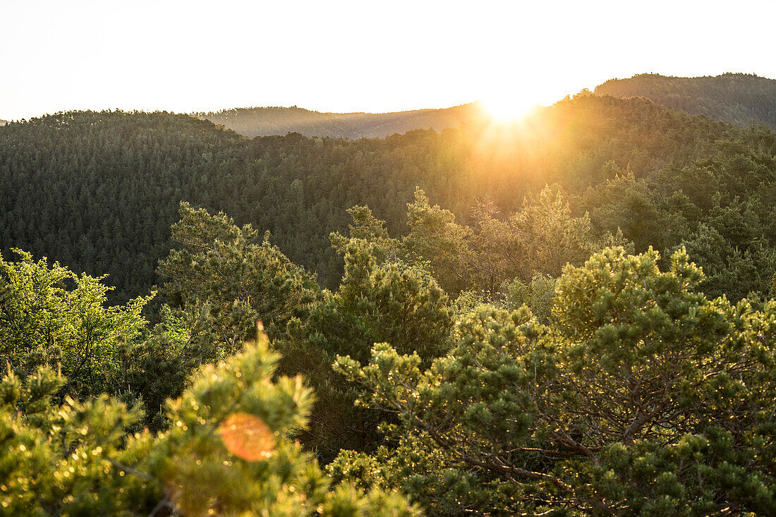 Sonnenaufgang am Kreuzstein im Pfälzer Wald, Busenberg, Rheinland-Pfalz, Deutschland