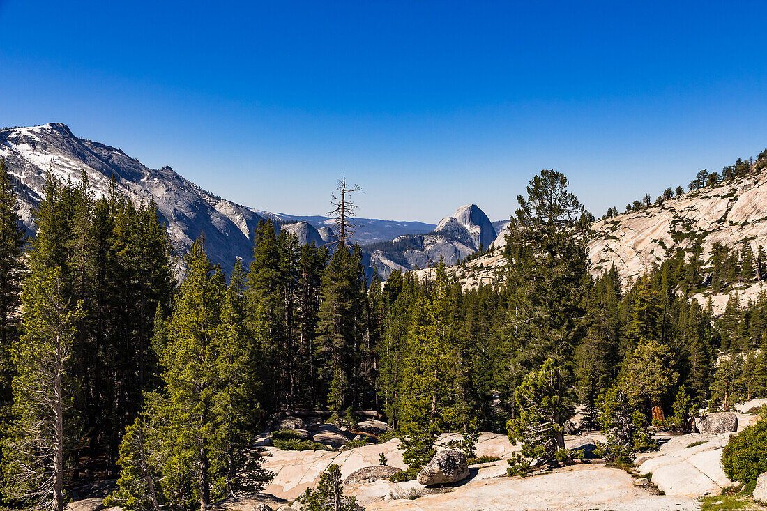 Aussicht auf die den bekannten Half Dome und die markanten Granitfelsen des Yosemite Nationalpark, Kalifornien, USA
