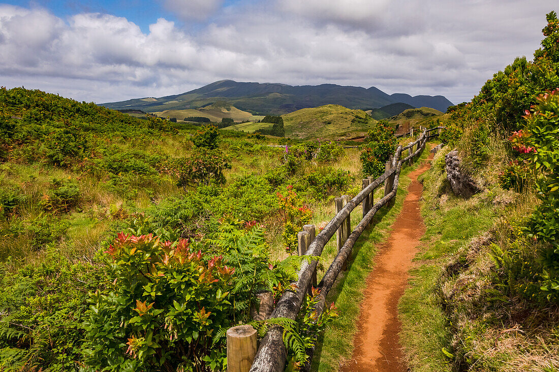 Ein Wanderweg in der farbenfrohen Natur rund um den Furnas do Enxofre auf den Azoren, Portugal
