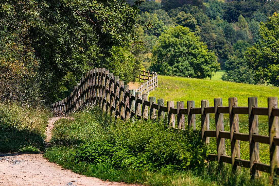 Ein Weg entlang eines Zaunes aus Holz führt zwischen Weiden und einem Wald hindurch, Deutschland