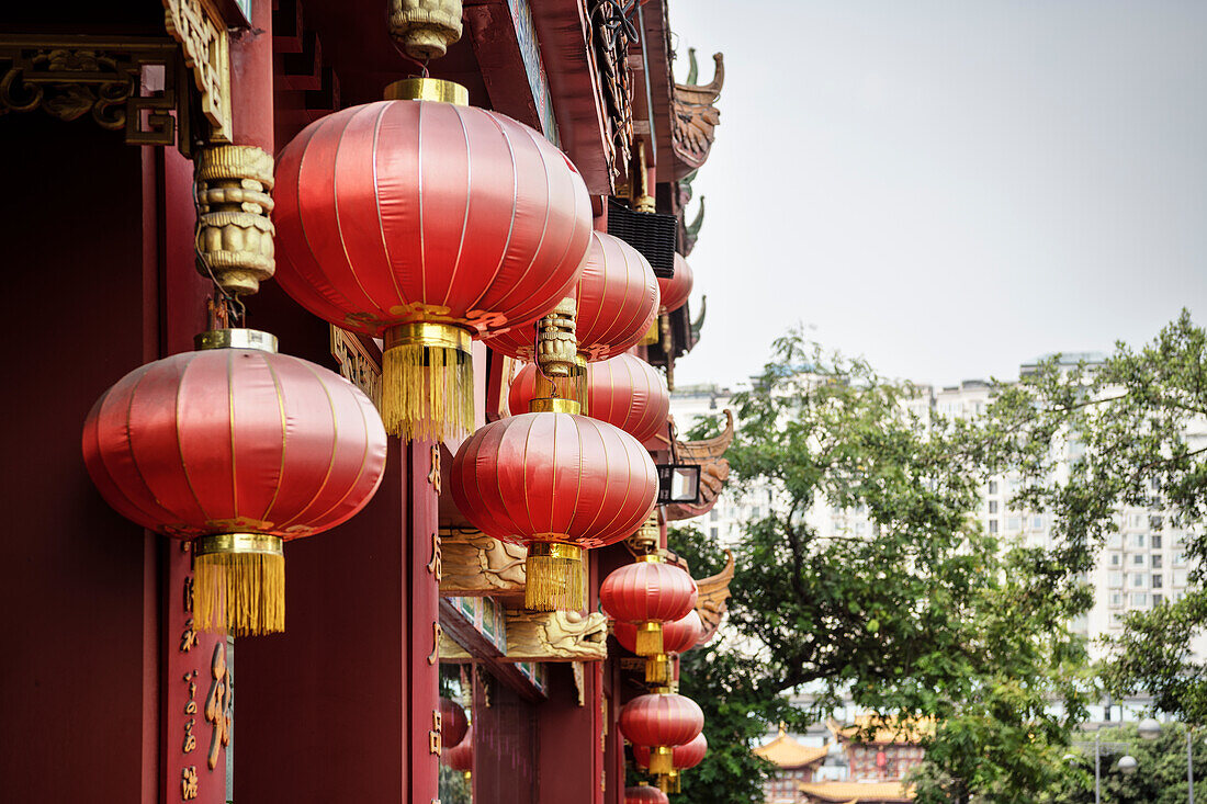 Chinesische Lampenschirme in Chengdu, Sichuan Provinz, China, Asien