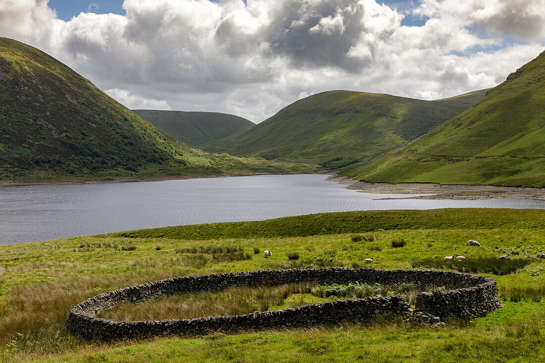 Kreisrunde Schafhürde am See grüne Hügel, Steinring für Vieh, Meggethead, Scottish Borders, Schottland, UK