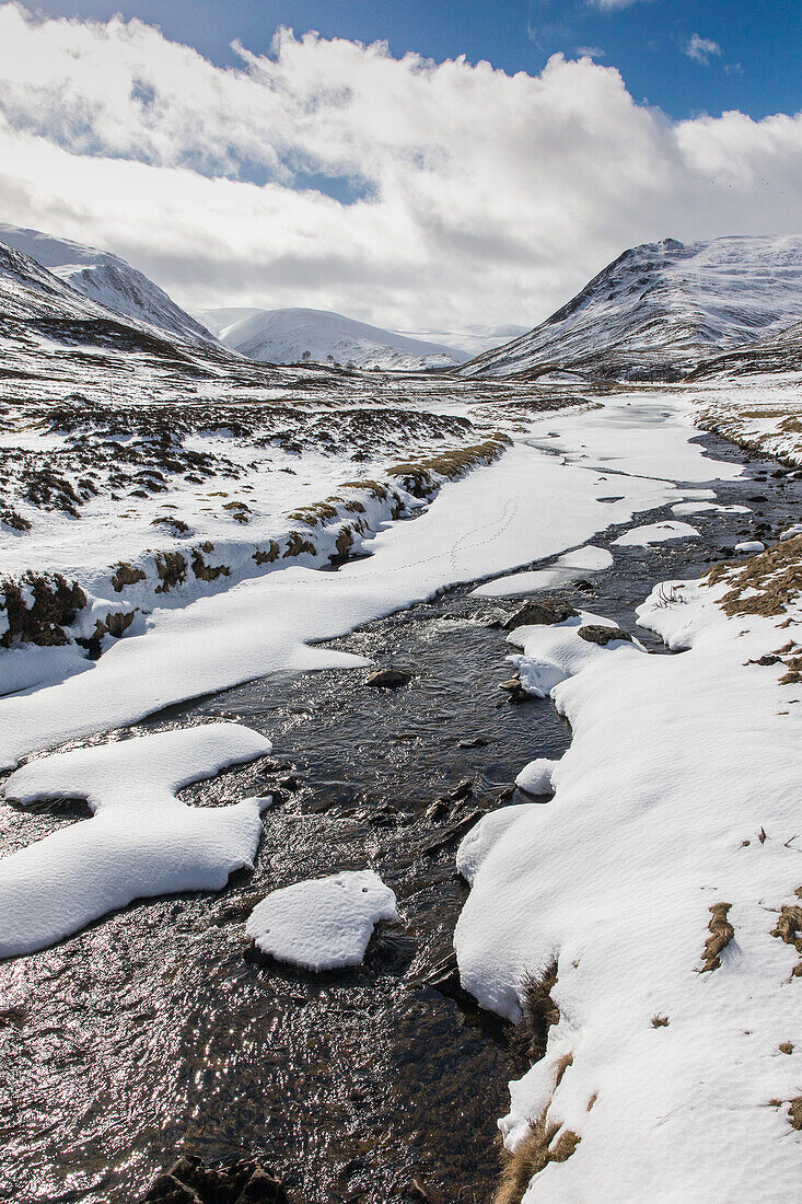 Glen Clunie in the snow, winter Royal Deeside, Braemar, Aberdeenshire, Scotland, UK